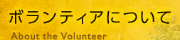 ボランティアについて　About the volunteer